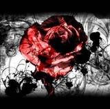 Abstract red rose in a swirl of inky water